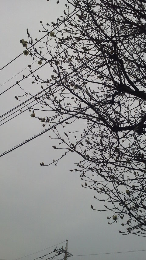 2013030816150000.jpg