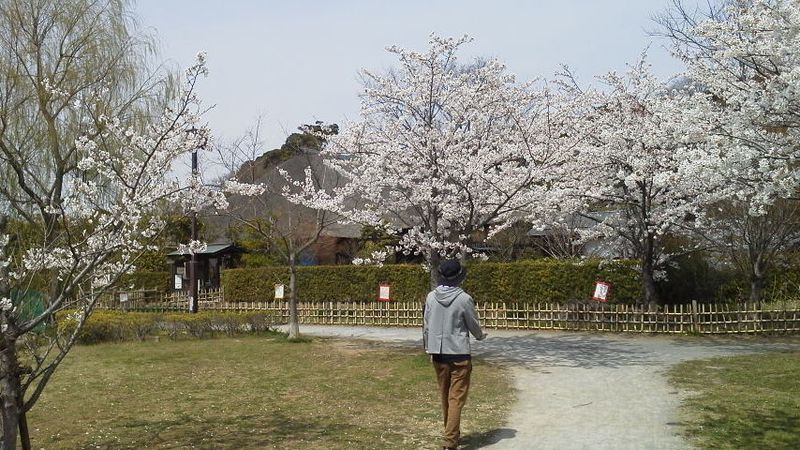 2012041012320000