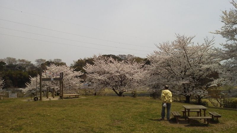 2012041012160000
